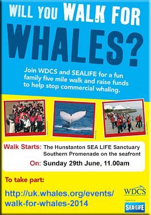 Walk for Whales local community poster
