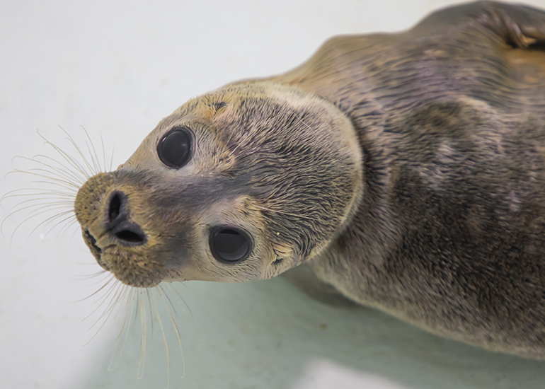 Wiggle  - photo taken on 23rd September 2018