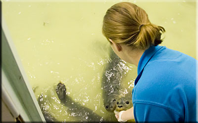 Hunstanton SEA LIFE Sanctuary