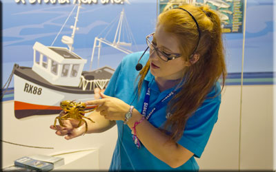 Hunstanton SEA LIFE Sanctuary