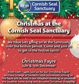 Christmas Fayre