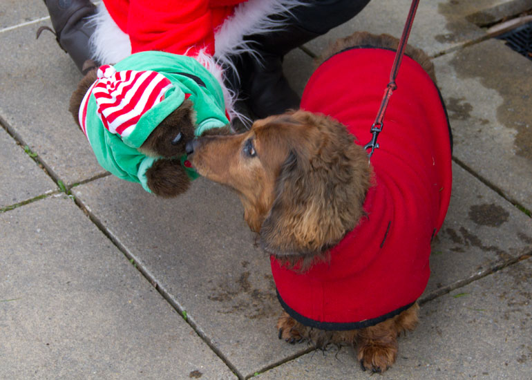 Christmas Fayre 2013
