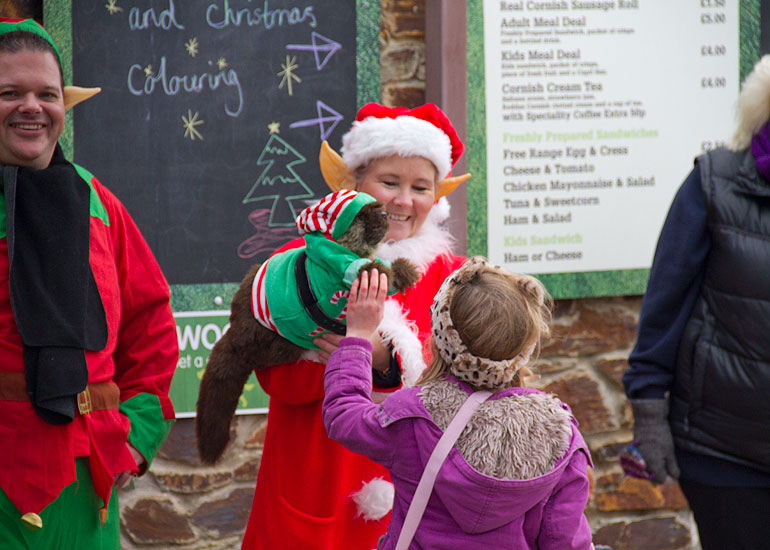 Christmas Fayre 2013