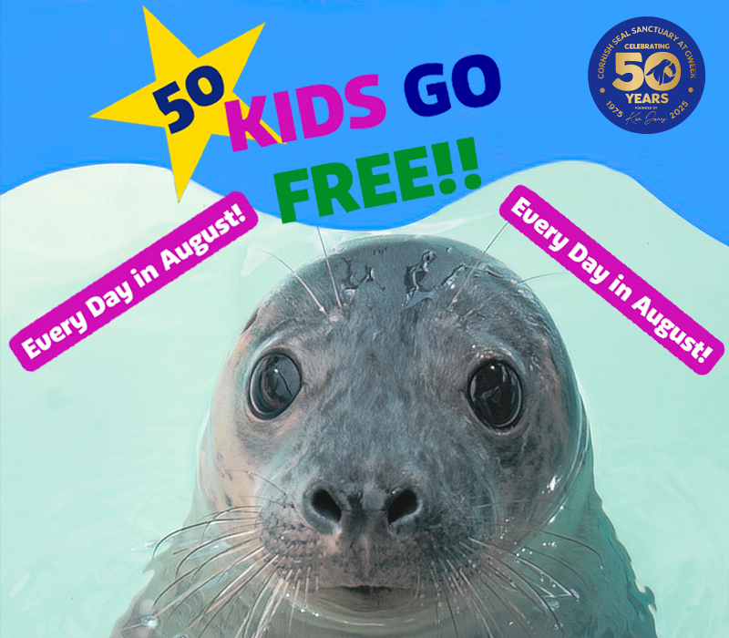 This August, 50 kids go FREE every single day!