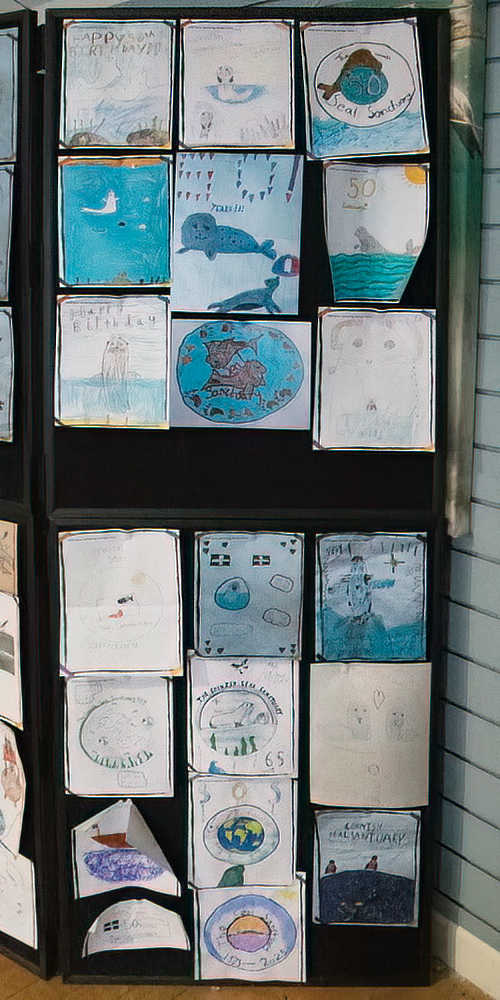Cornish Seal Sanctuary