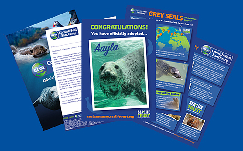 Adoption a resident!