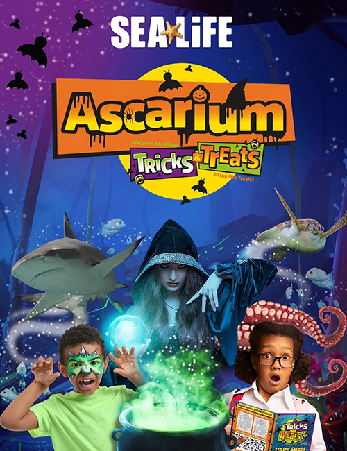 Join SEA LIFE as Aquarium turns Ascarium this October