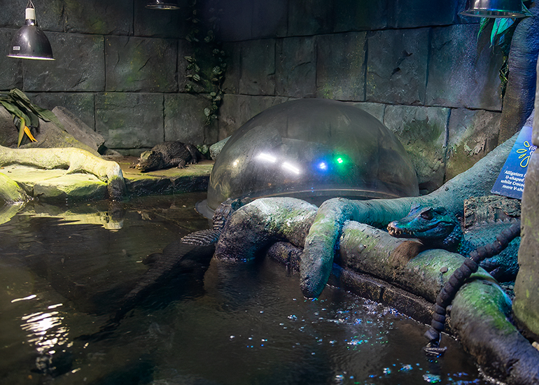 Hunstanton Sea Life - Aquarium