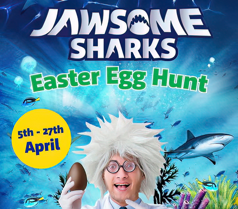 Hunstanton Sea Life