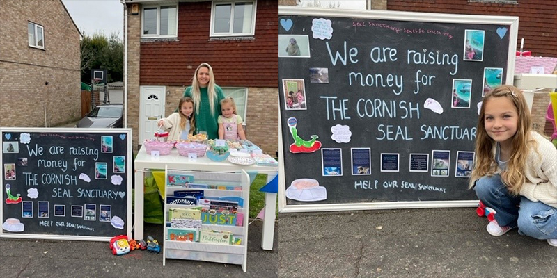Cornish Seal Sanctuary