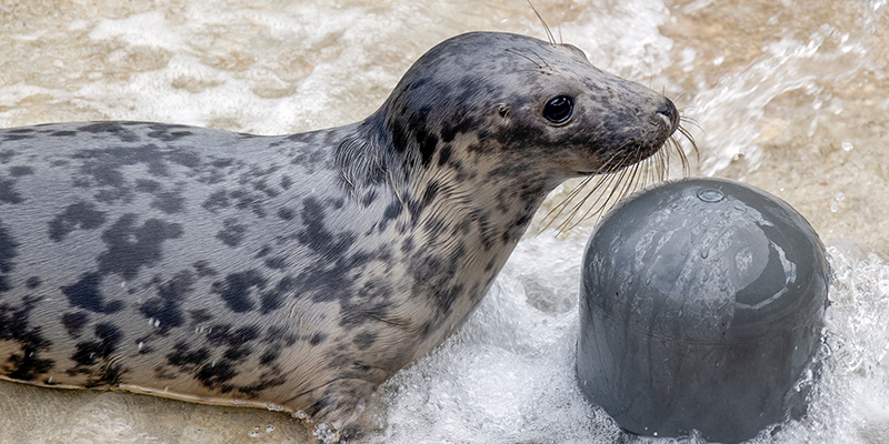 Grub - 8th July 2025