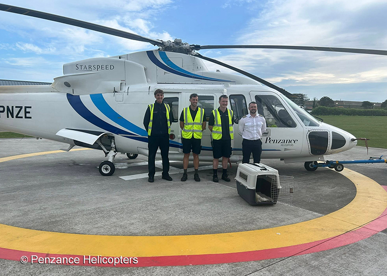 Grub - Photo credit - Penzance helicopters travel company