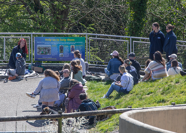 Seal pup rescue demos - Watch as the team care for and rehabilitate seal pups and learn about our life-saving work