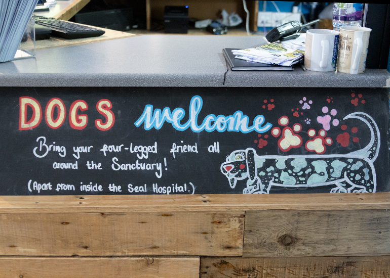 Dogs are Welcome