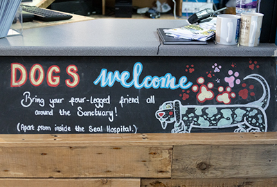 Dogs are Welcome