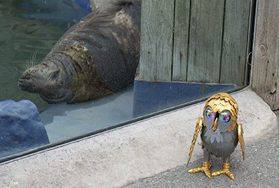 Bubo with Marlin asleep!