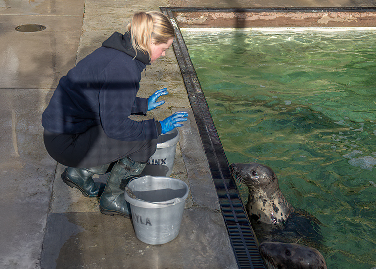 Are you sure there are no more fish in the bucket
