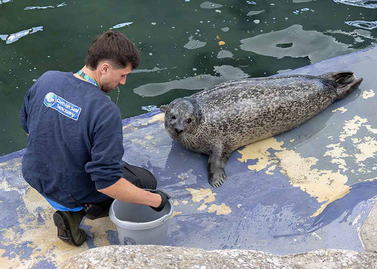 Ben with Bo - Cornish Seal Sanctuary