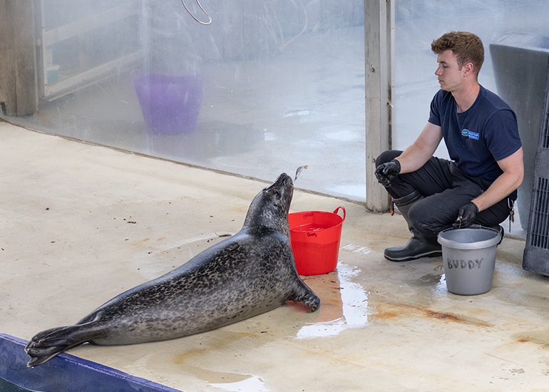Isaac with Buddy - Cornish Seal Sanctuary