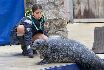 Cornish Seal Sanctuary