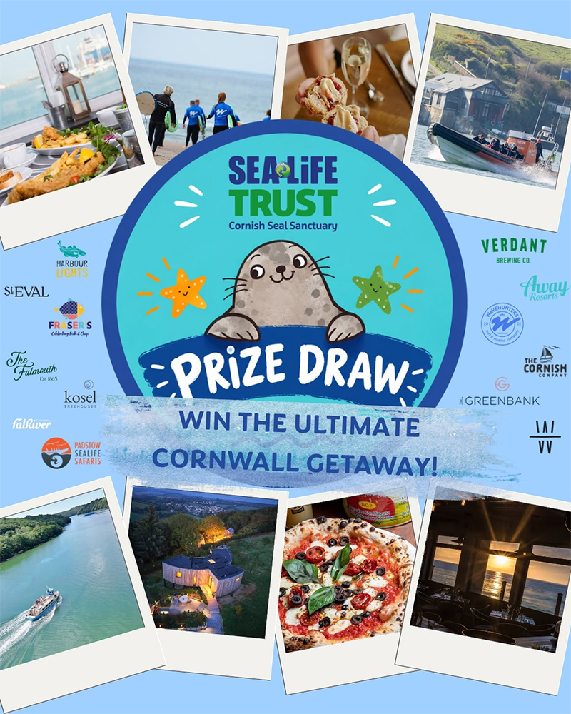 Ultimate Cornwall Getaway 2026