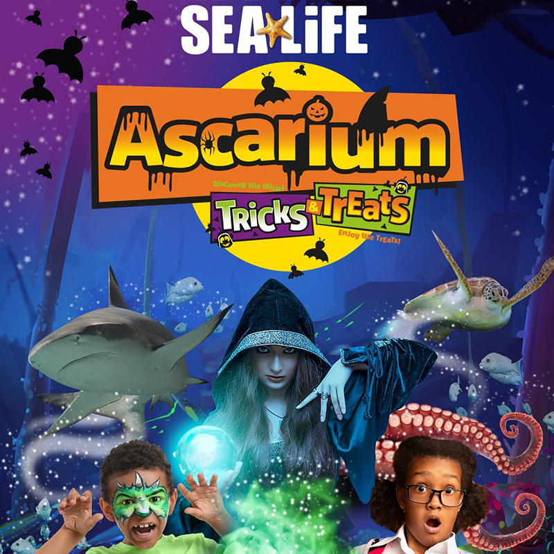 Ascarium: Tricks & Treats is returning this Halloween!
