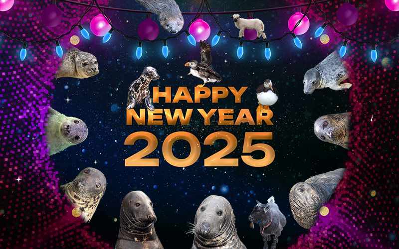 Happy New Year card 2025