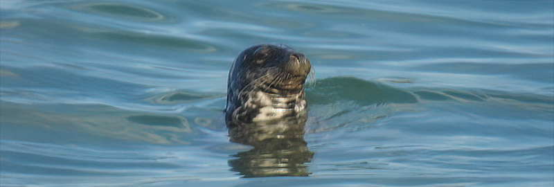 Idris Elba - Photo Credit - Florence Hall - 28th September 2025