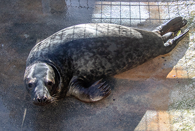 Jelly on 28th  January 2026