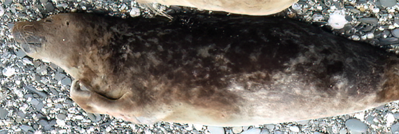 Joy Division on 7th February 2020