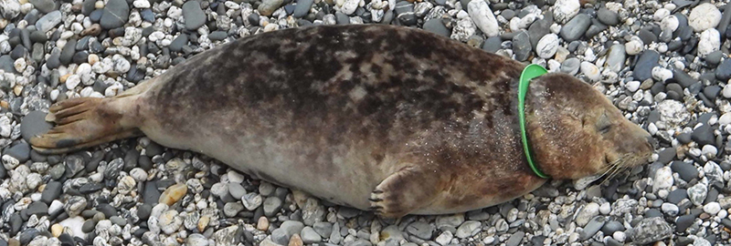 Joy Division on 22nd March 2021