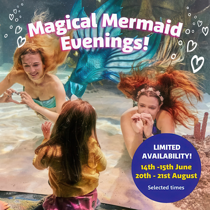 The Mermaid People are Back