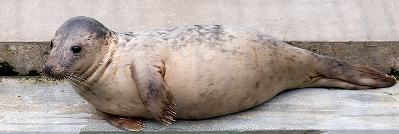 Mochi on 14th January 2026