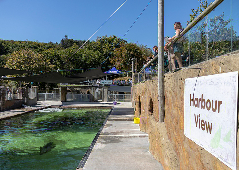 Cornish Seal Sanctuary