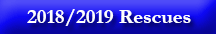 Seal pups rescue season 2018/19