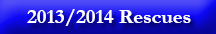 Seal pups rescue season 2013/14