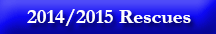 Seal pups rescue season 2014/15
