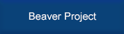 Beavers' Project