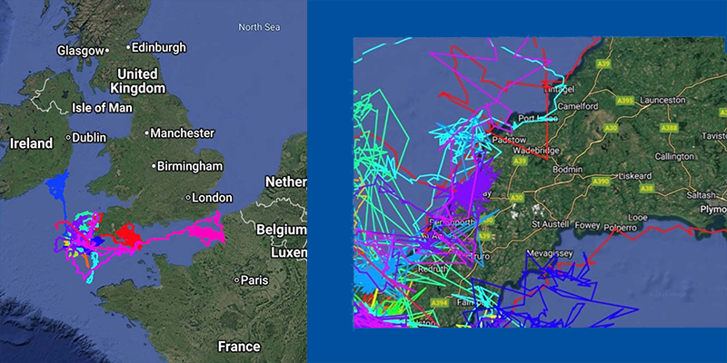 sat nav tracking - July 2025