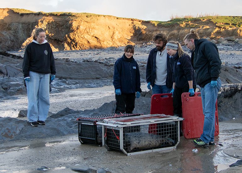 Seal Release - 2nd January 2026