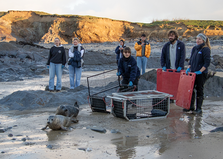 Seal Release - 2nd January 2026