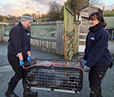 Seal Release - 2nd January 2026