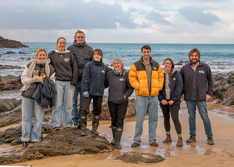 Seal Release - 2nd January 2026