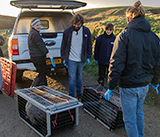 Seal Release - 2nd January 2026