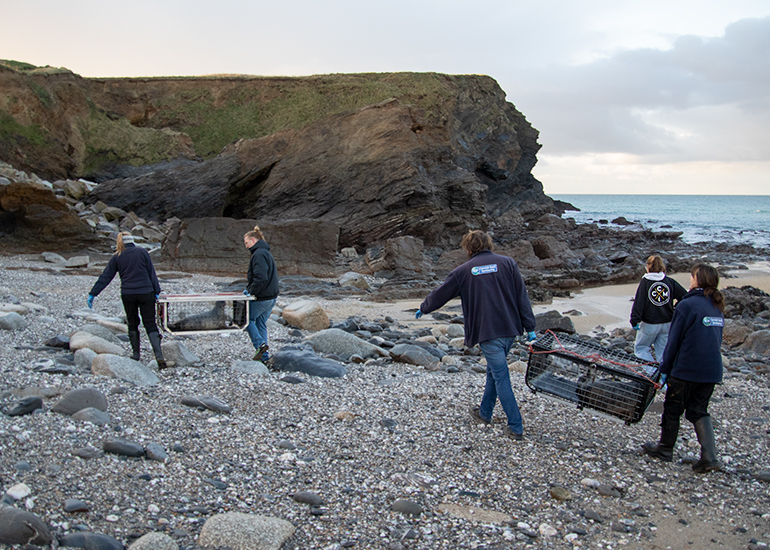 Seal Release - 2nd January 2026