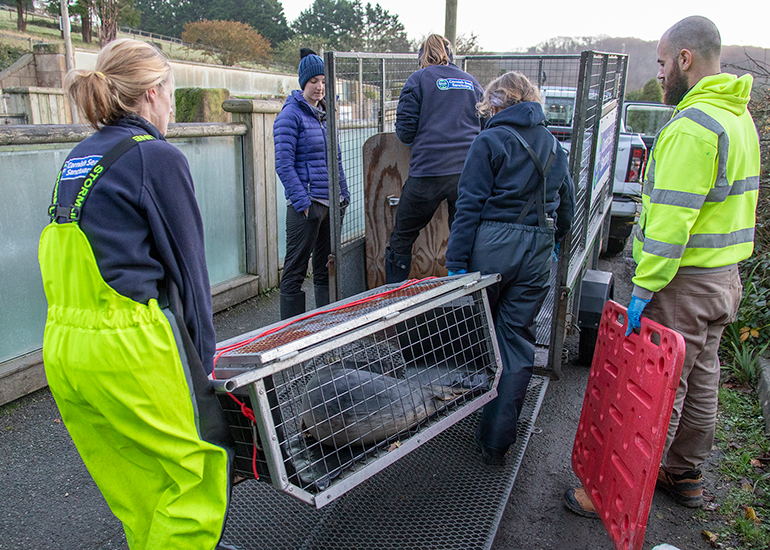 Seal Release - 3rd December 2024