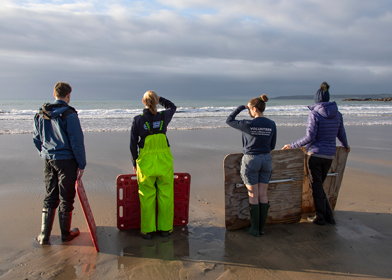 Seal Release - 3rd December 2024