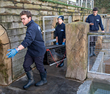Seal Release - 3rd December 2024