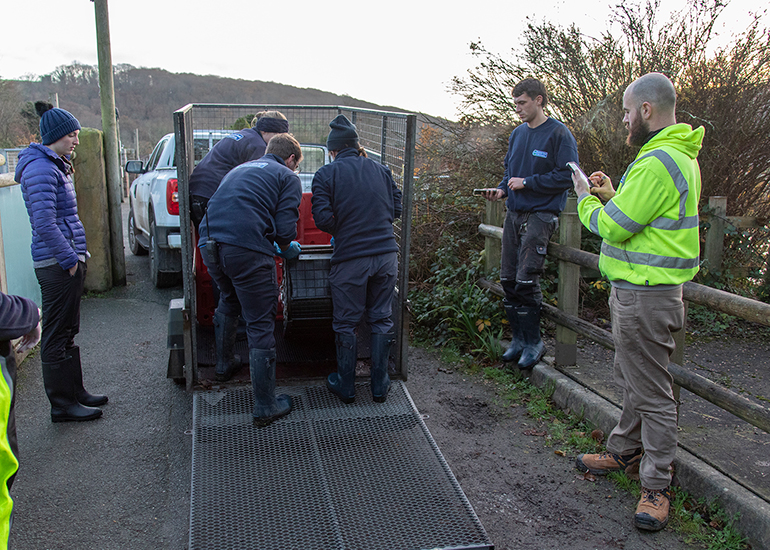 Seal Release - 3rd December 2024