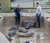 Seal Release - 4th March 2026